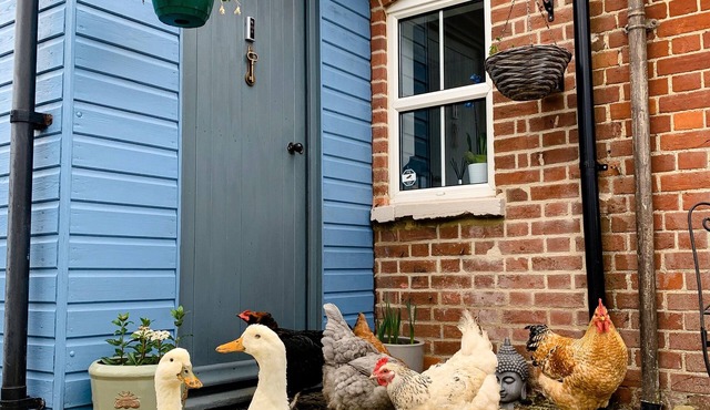 Quirky Victorian Farm Cottage Next to Rendlesham Forest and Close to the Beach