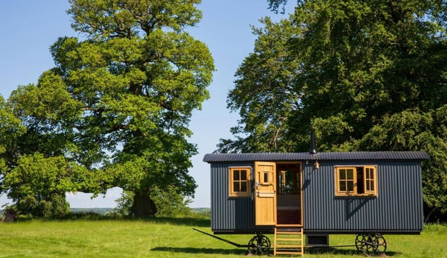 Redwood - Shepherds hut