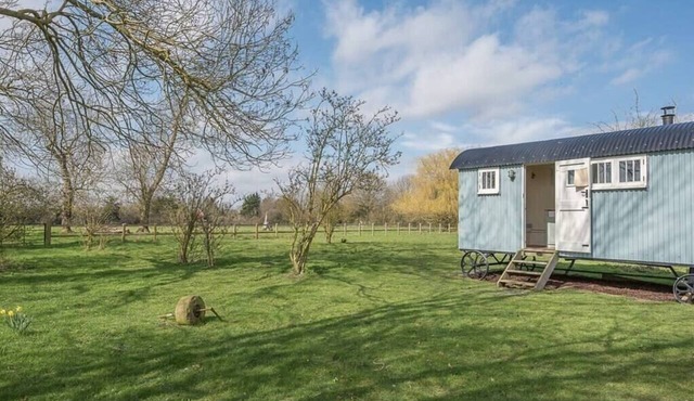 Sage Shepherds Hut at Boundary Farm, Framlingham
