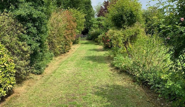 Secluded 4 bed bungalow in mature 1 acre gardens with b close to Sherwood Forest