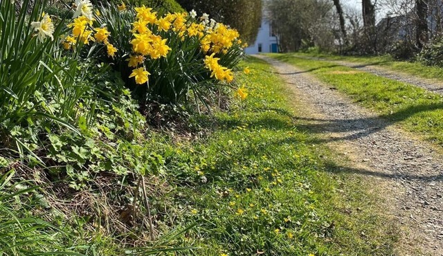 Secluded large modern house with self contained private garden and own lane