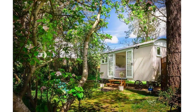 Shepherd's Hut B&B nr Salisbury, Stonehenge & Bath