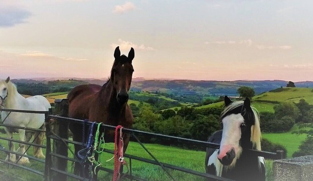Shepherd's Watch Cottage - 5* Cyfie Farm, with private hot tub