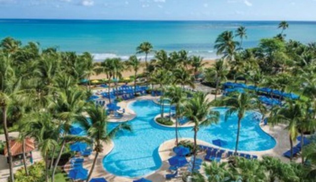 Studio Deluxe, Mountain View, at Wyndham Rio Mar in Puerto Rico, on Golf Course!