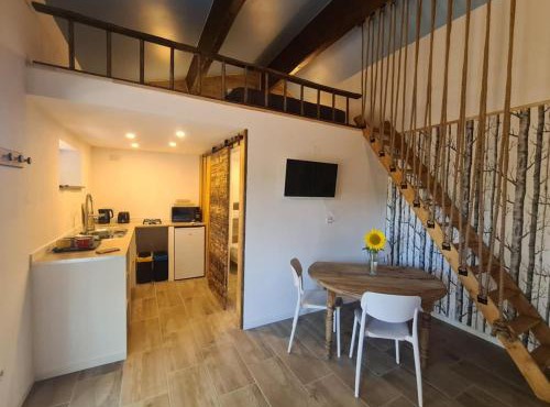 Studio mezzanine, spa & chiens de traîneau