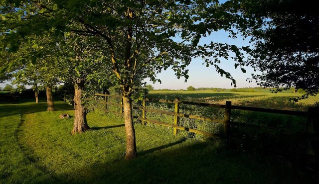 Stunning Barn Conversion - Ideal for families and large groups!