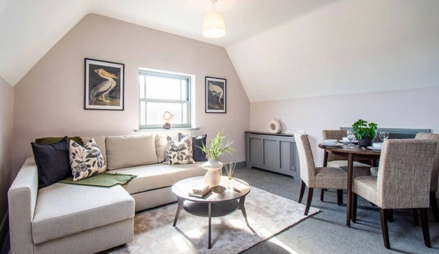 Stylish Modern Apt Free Parking, Free Gym Access