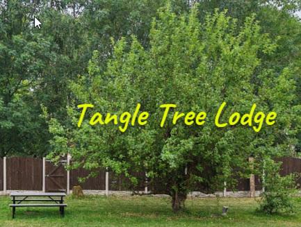 Tangle Tree Lodge - Luxury, Parking, Spacious