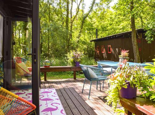 The Cabin