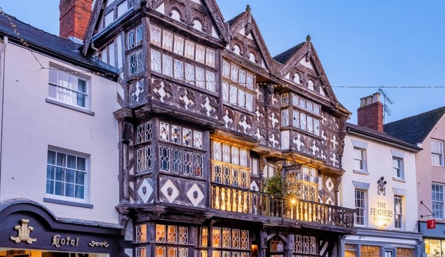 The Feathers Hotel