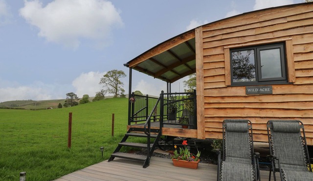 WILD ACRE, pet friendly, with hot tub in Llandovery