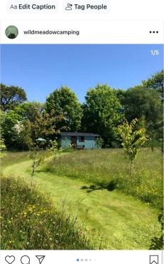 Wild Meadow Camping