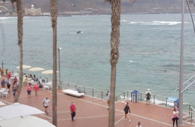Apartamento Frente Al Mar 