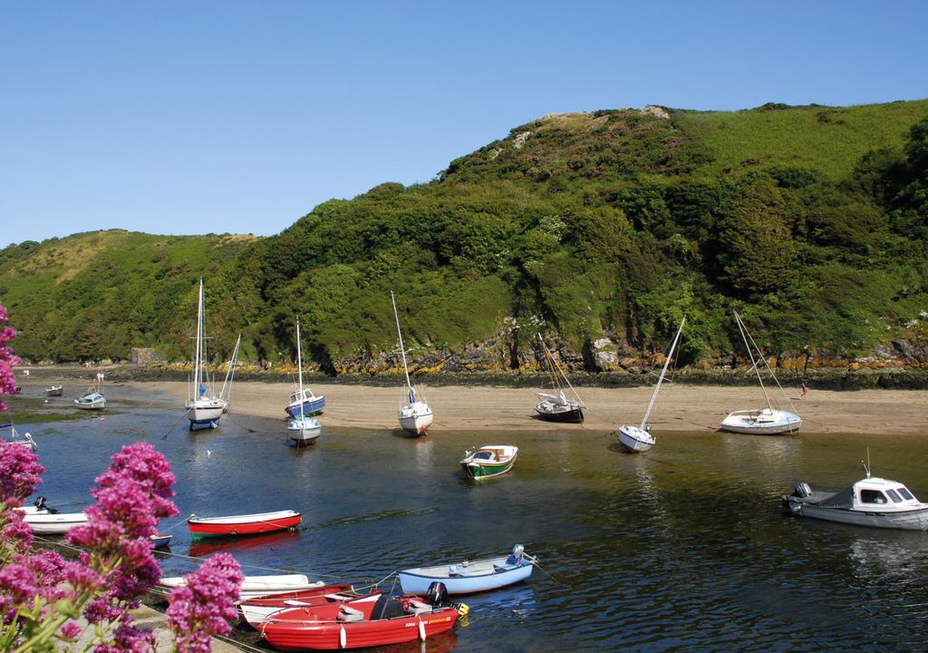 Photo of Others in St Davids
