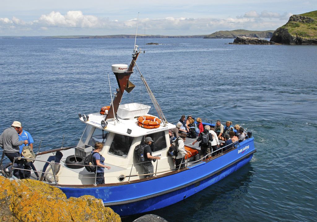 Photo of Others in St Davids