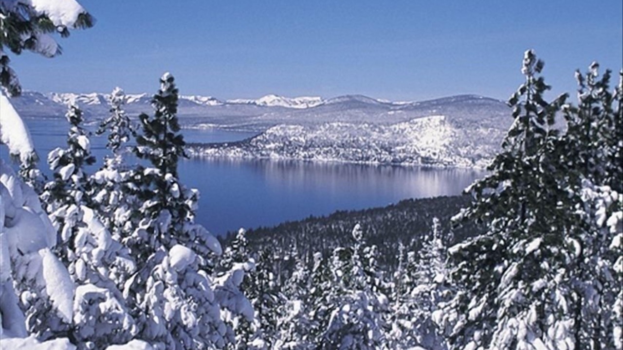 Photo of Others in Incline Village