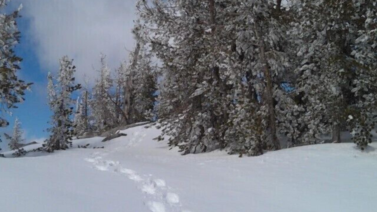 Photo of Others in Incline Village