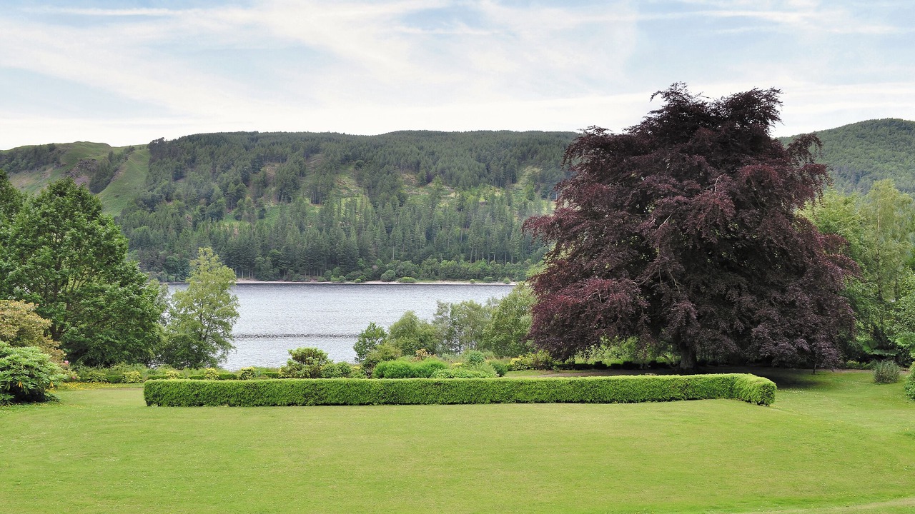 Photo of Outdoor in Thirlmere