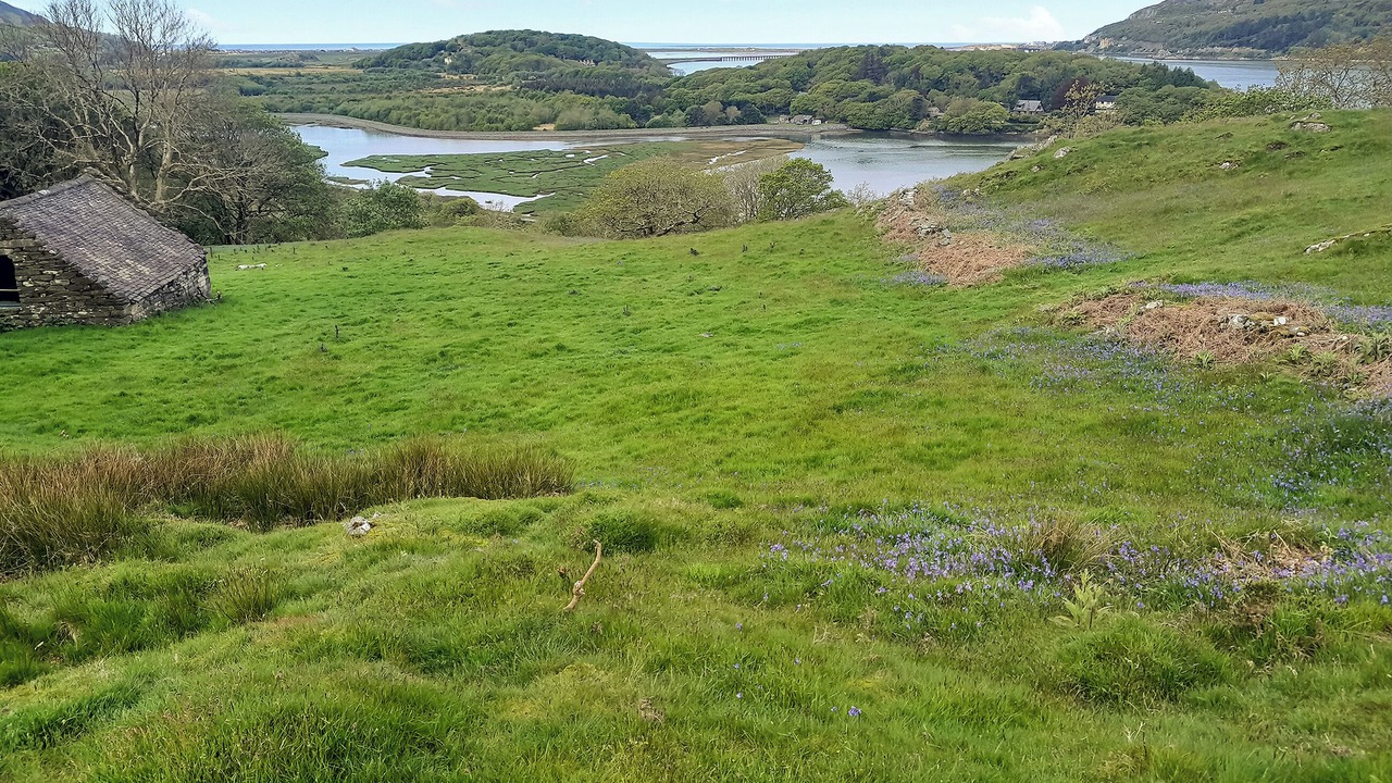 Photo of Others in Arthog