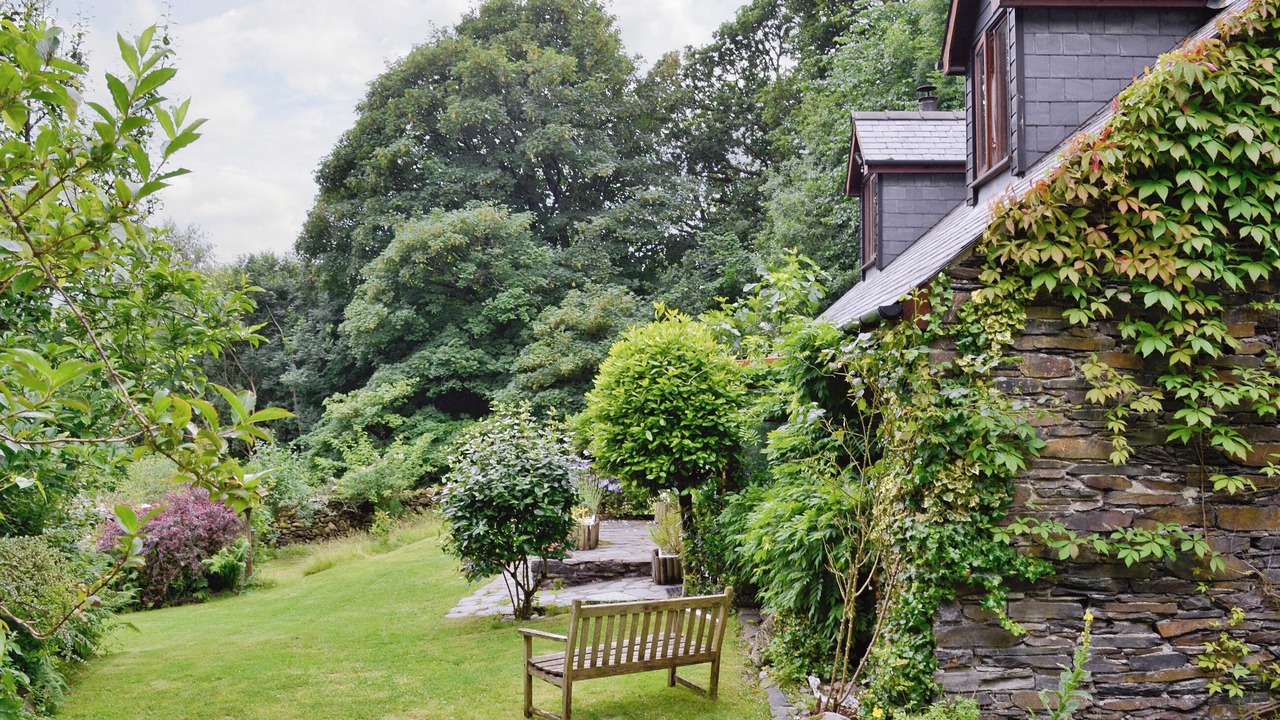 Photo of Outdoor in Arthog