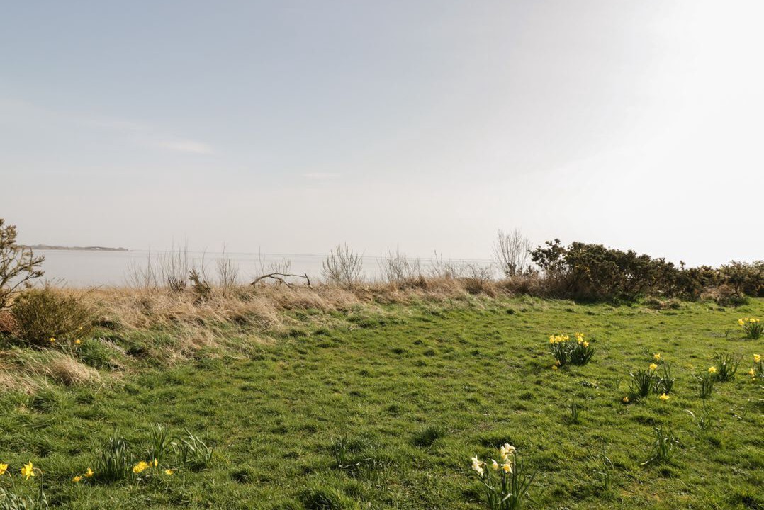 Photo of Others in Powfoot