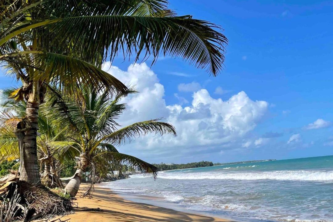 Photo of Others in Playa Fortuna